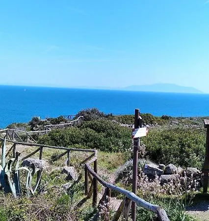 Voglia Di Mare *